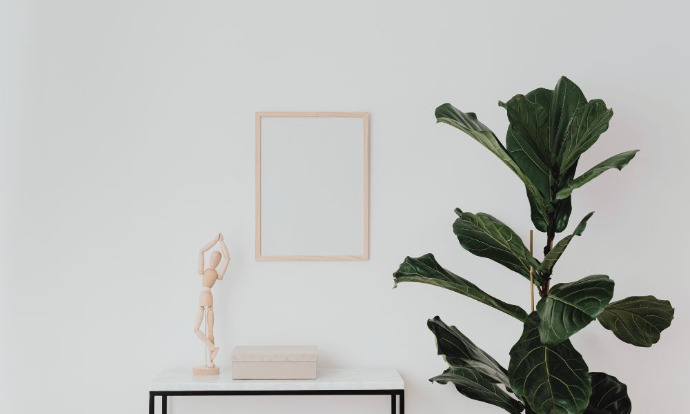 Web Design Services for Small Business What Matters Most